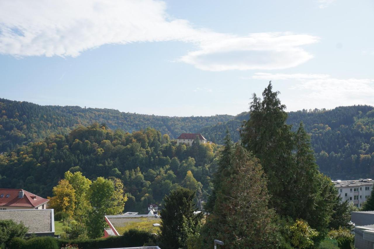 Ferienwohnung Schauinsland Neuenburg  Buitenkant foto